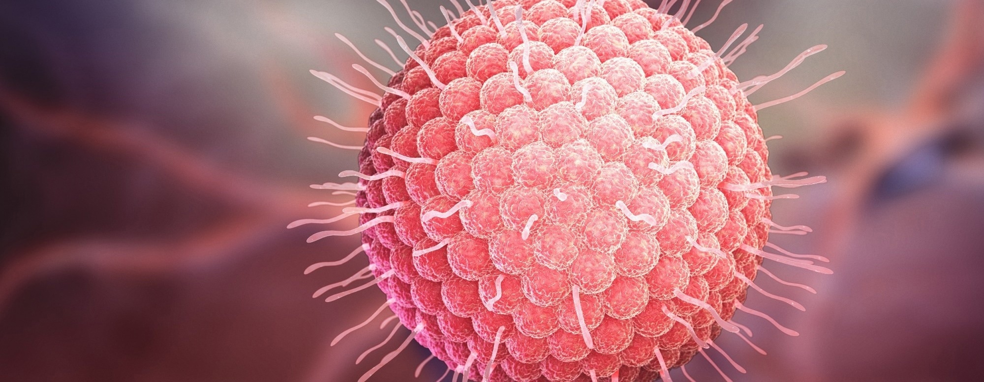 Shingles vaccination is linked to slower biological aging in older adults