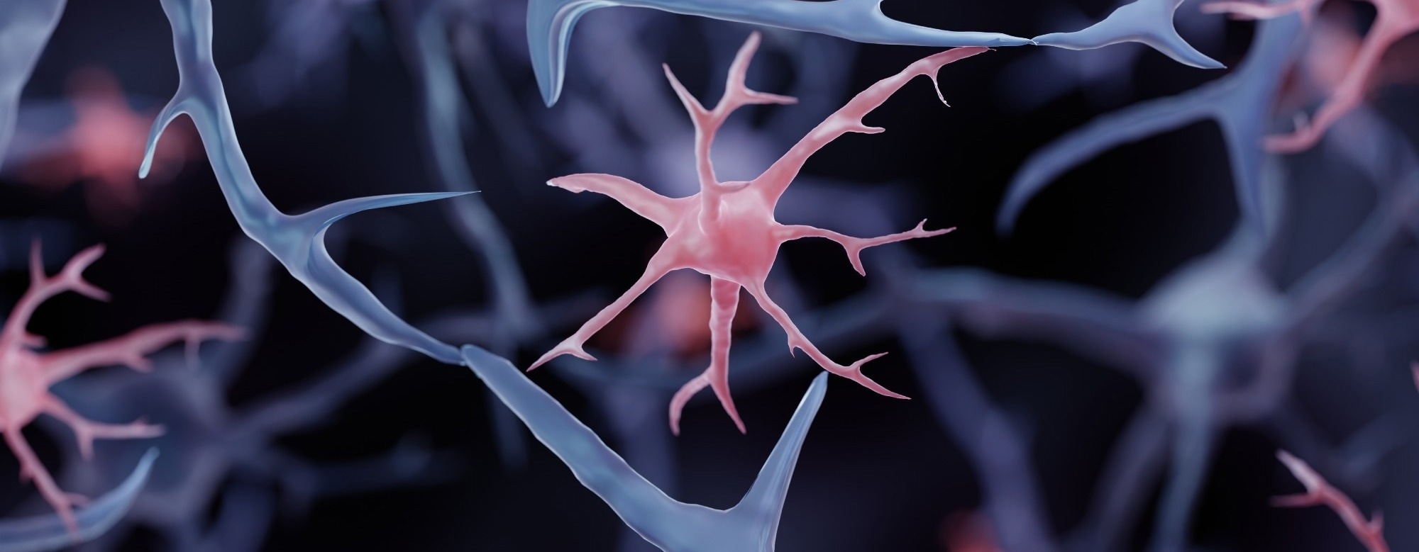 Ageing slows brain protein clearance and shifts synaptic waste to microglia