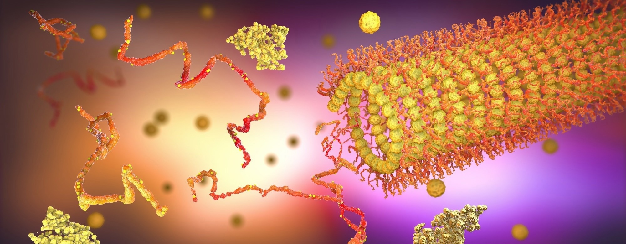What Are Proteoforms? Understanding Protein Diversity in Modern Proteomics