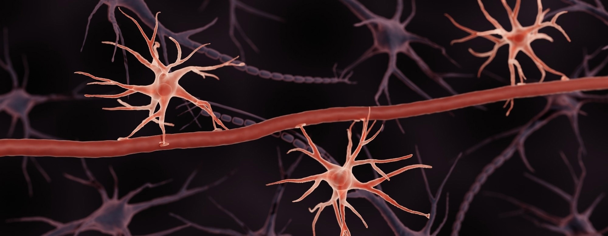 Oligonucleotide Delivery Across the Blood Brain Barrier