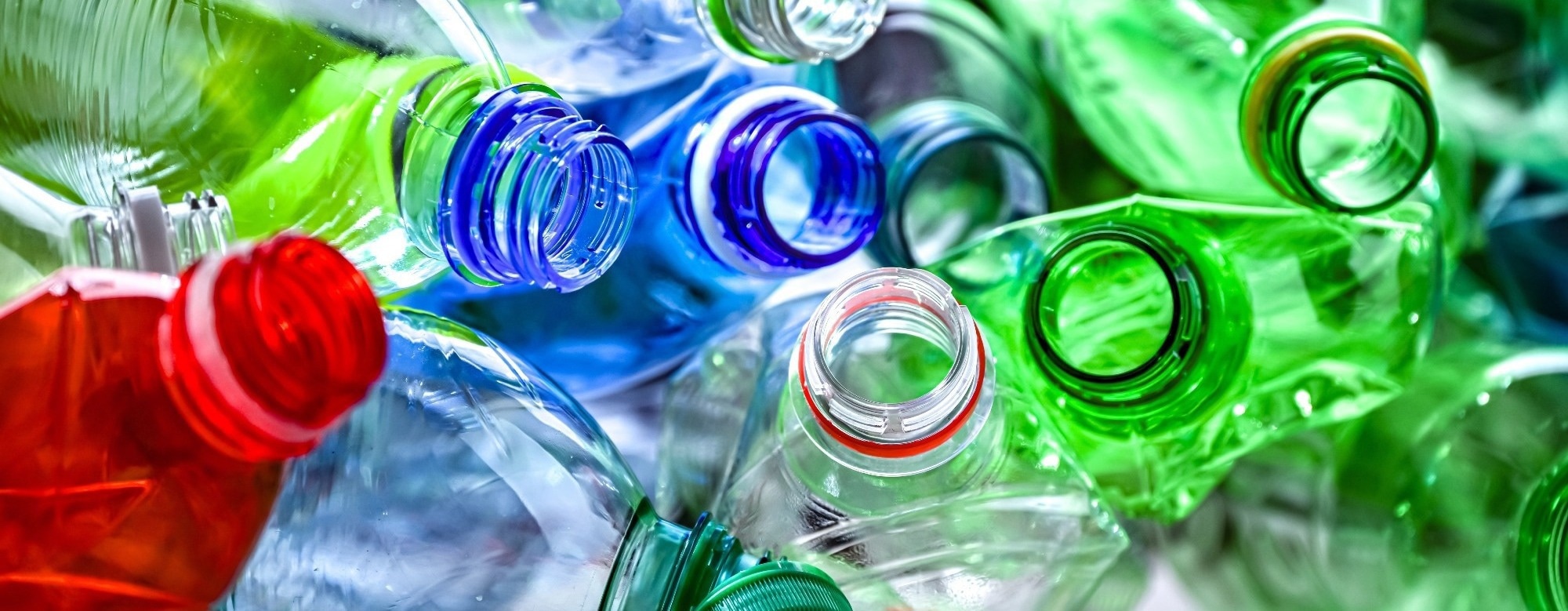 How could bisphenol A raise depression risk? Study identifies six key molecular targets