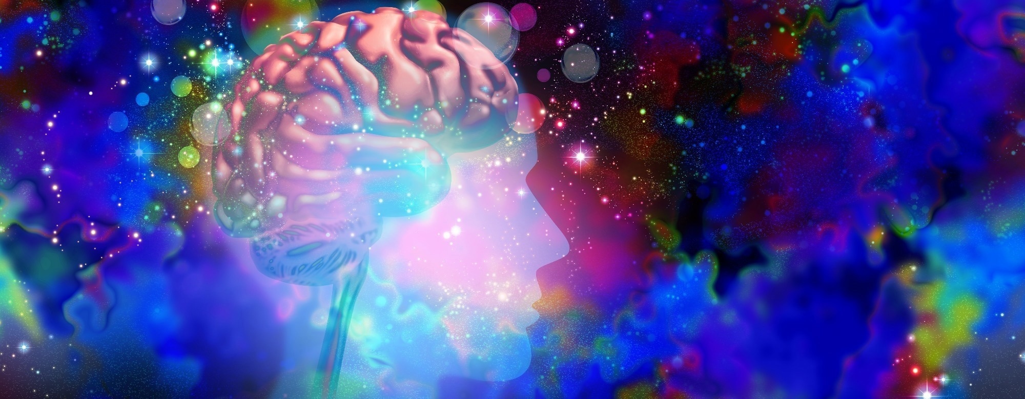 What happens in the brain on psychedelics? Scientists identify a common circuit pattern