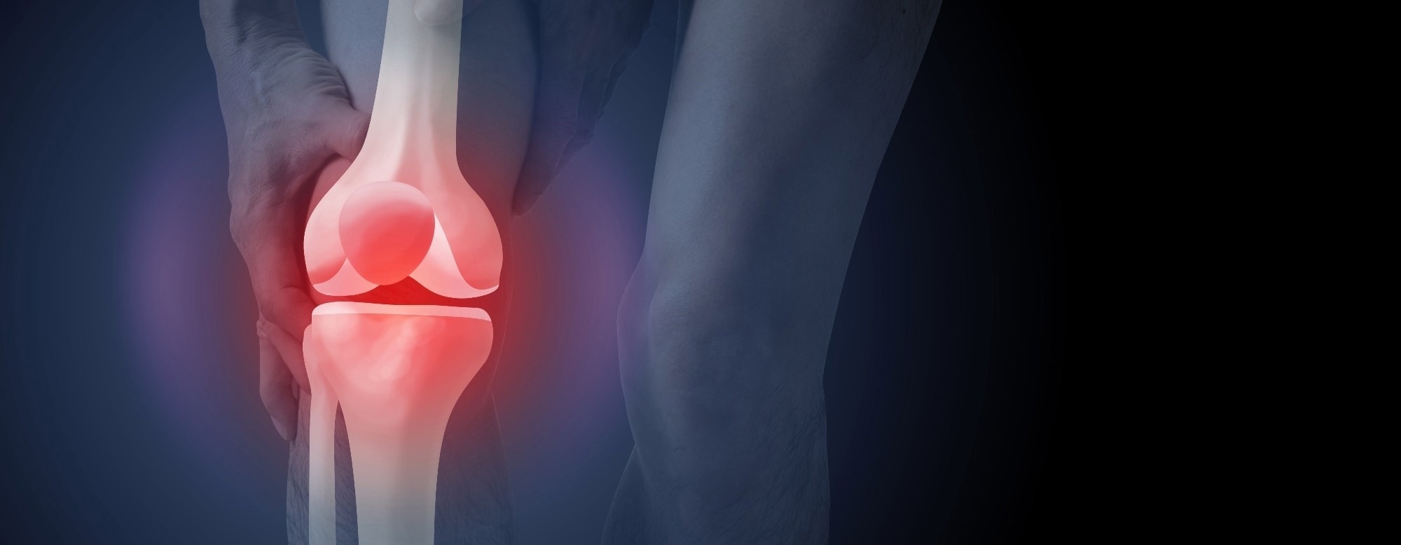 Study links ultra-processed food intake to poorer thigh muscle quality