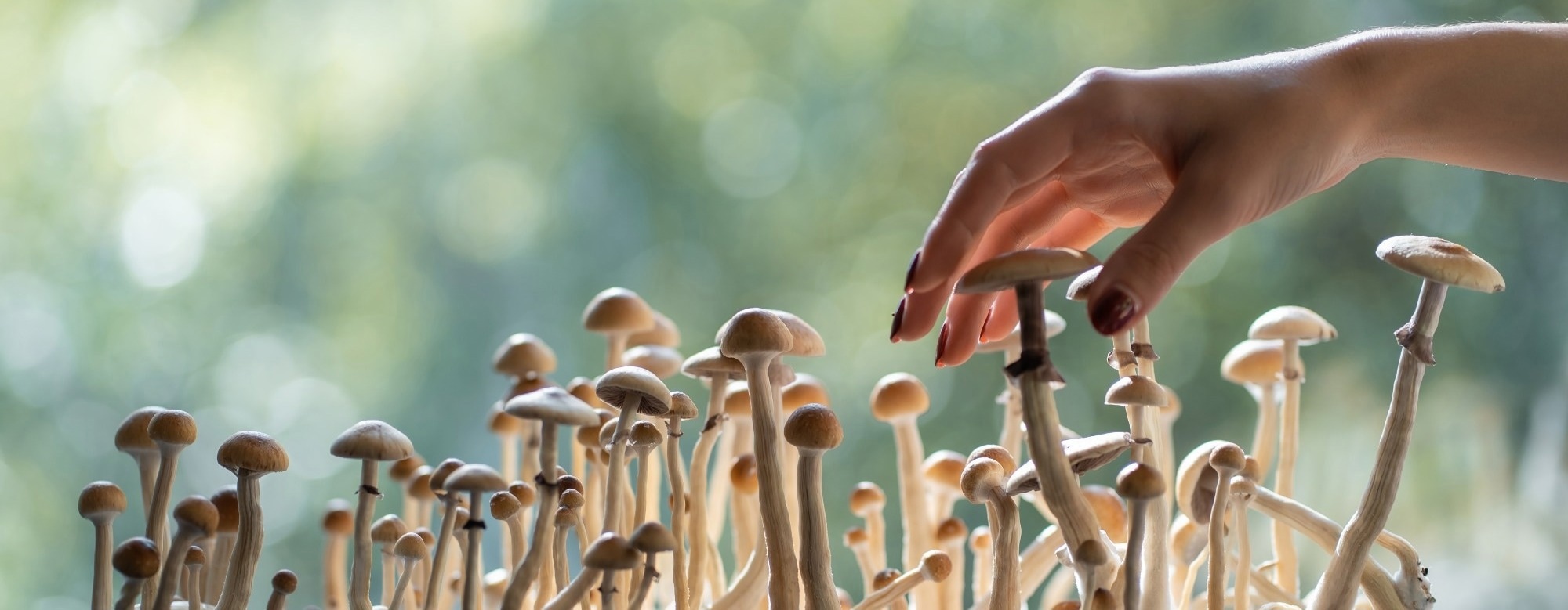 Psychedelic use is associated with major life changes across 10 domains
