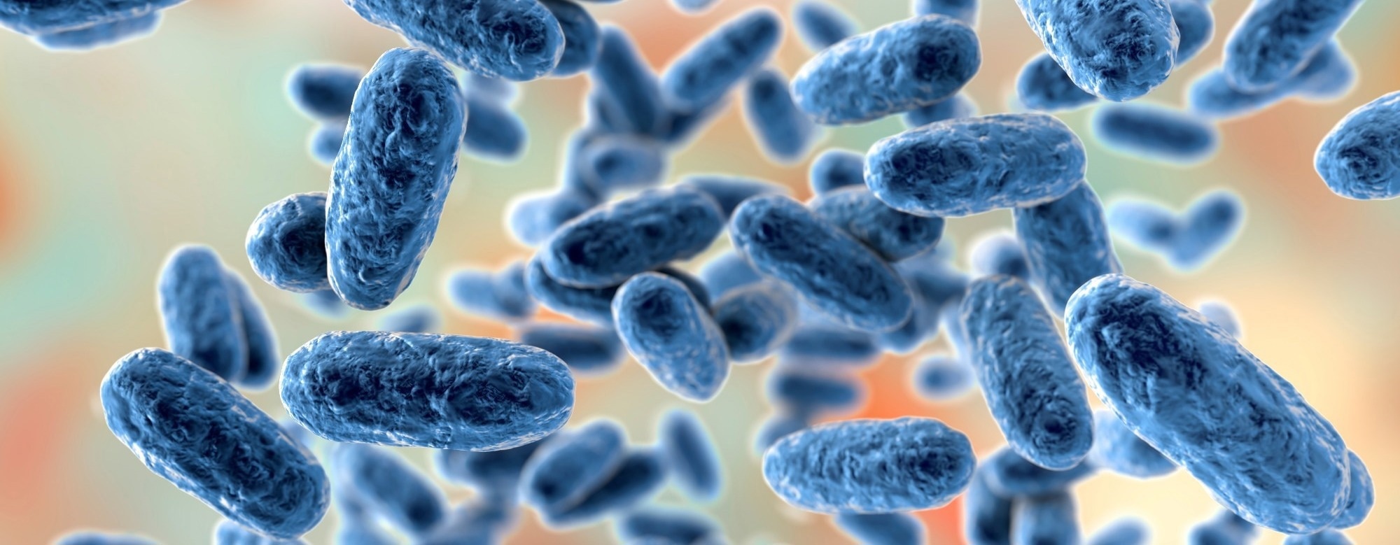 Why Japan saw a major pertussis surge in 2025 while other countries peaked earlier