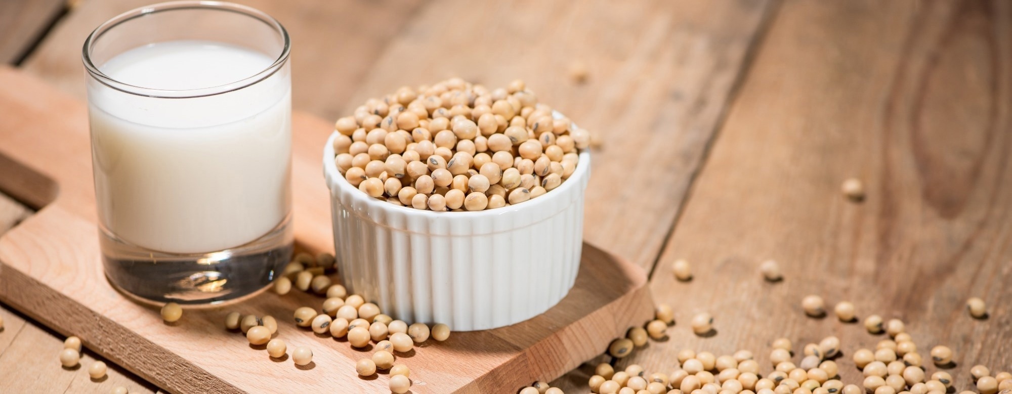Soy-based nutrients may help reduce COPD symptom burden