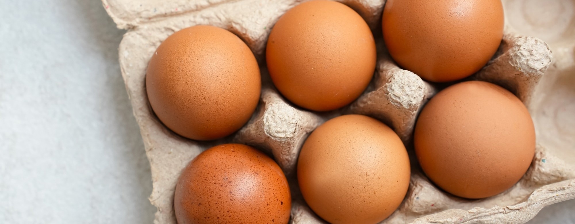Eating eggs regularly reduces Alzheimer’s disease risk