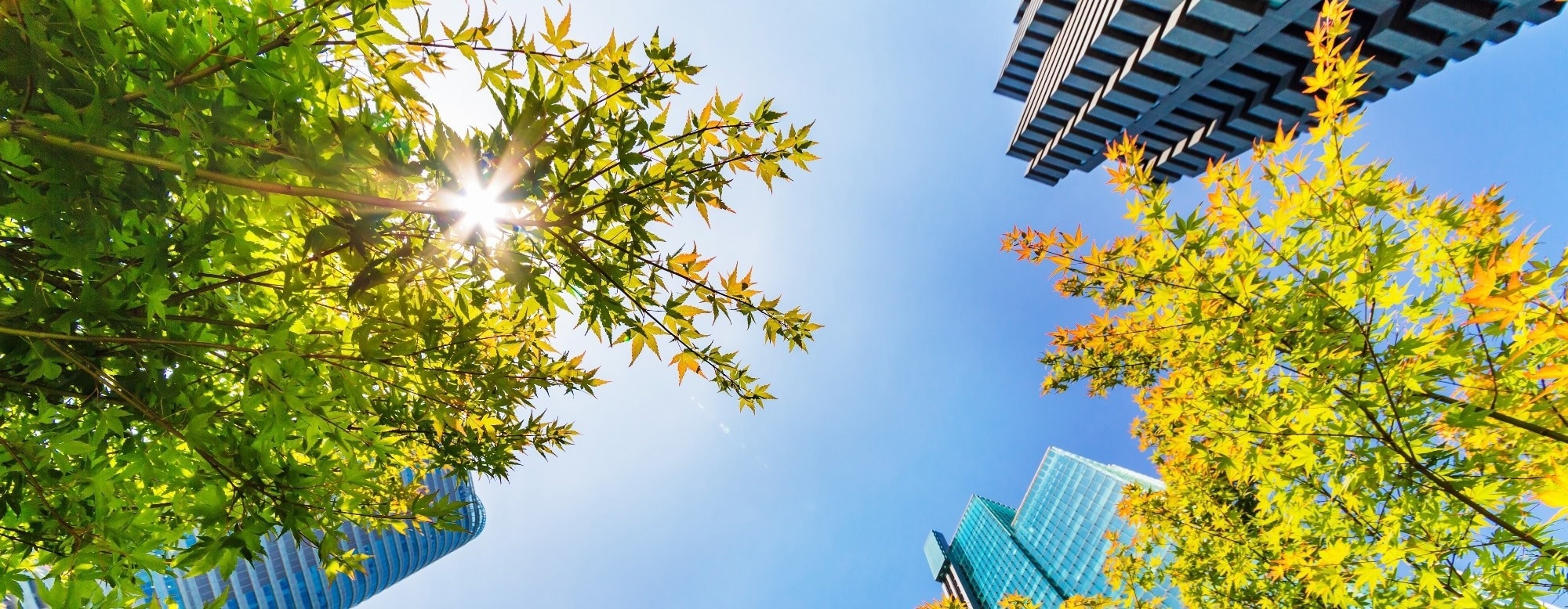 How heat-smart cities can protect outdoor recreation in a warming world