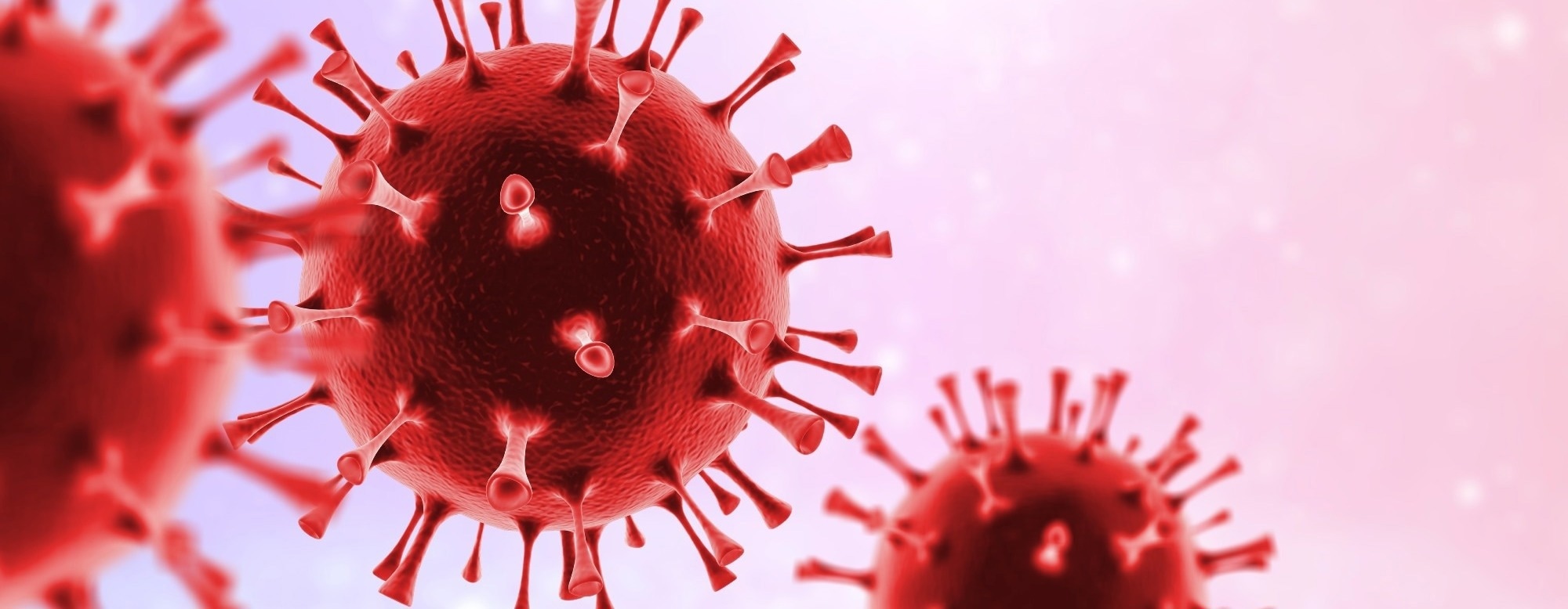Why Andes hantavirus is not the next COVID-19