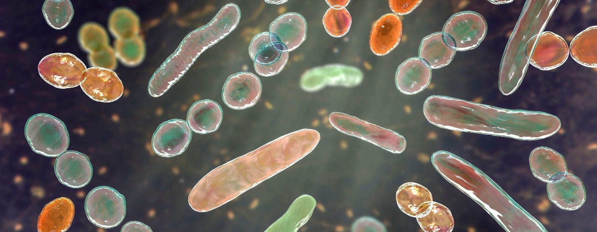 Gut microbes may help explain why obesity and type 2 diabetes become harder to reverse