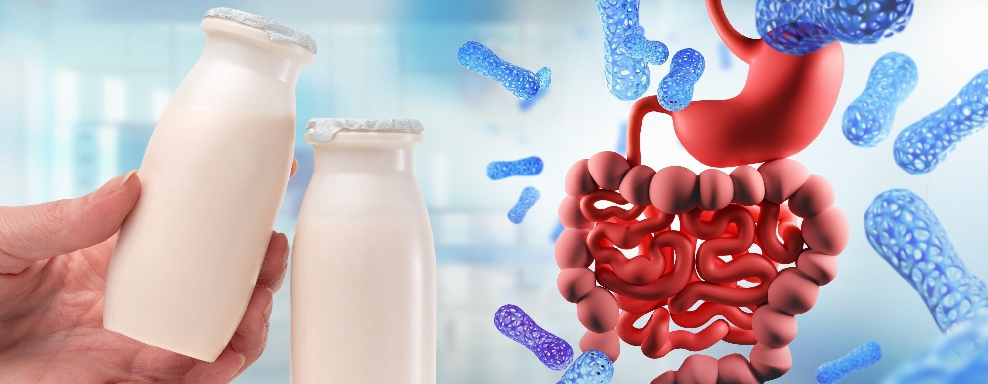 Yogurt, prebiotics, and probiotics link to lower colorectal cancer odds in U.S. adults