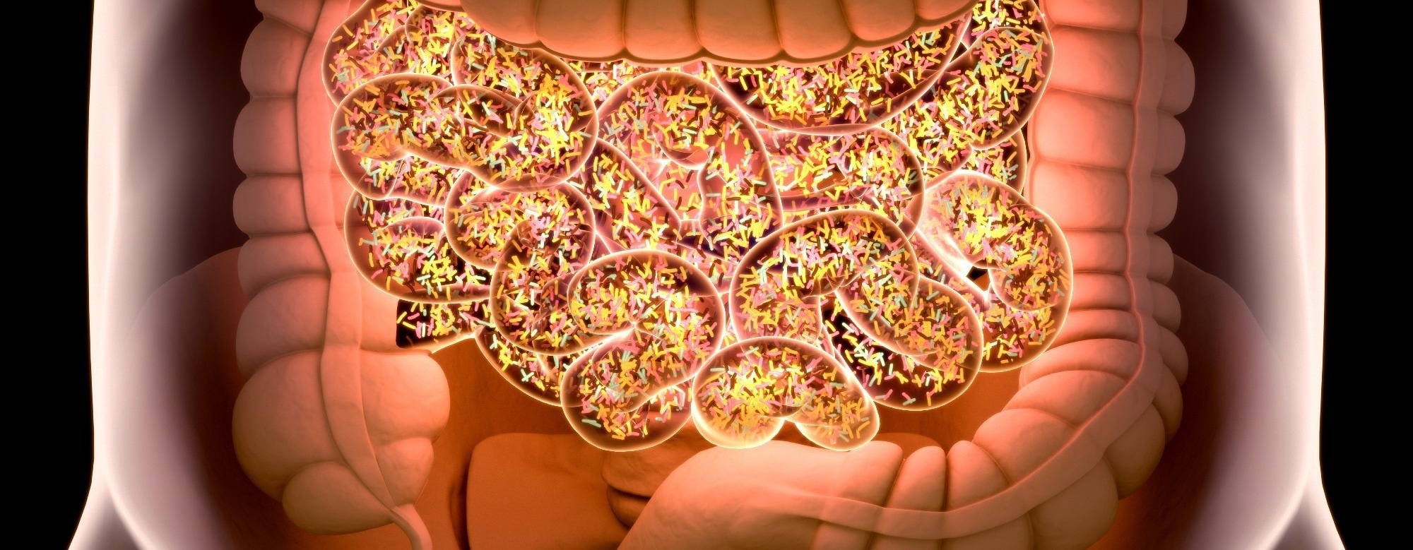 Nine gut bacteria linked to future type 2 diabetes risk