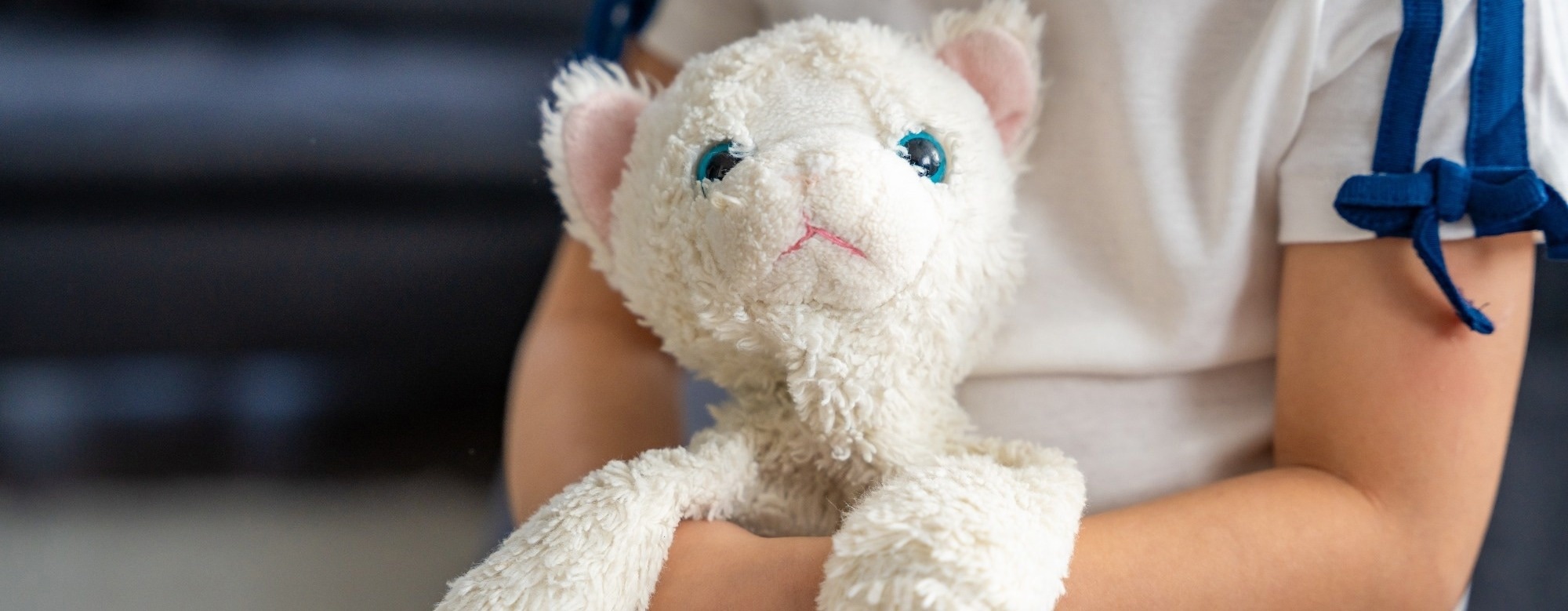 Stuffed toys can release short-chain PFAS into saliva, study finds