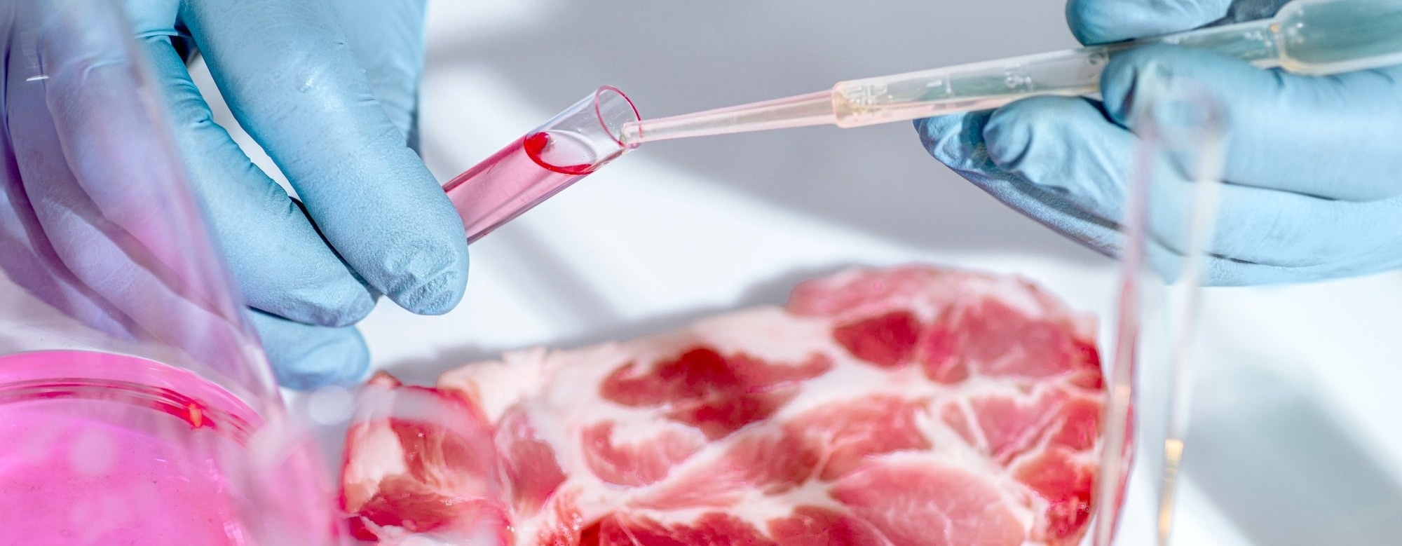 Pork supply chains may be shaping the global spread of drug-resistant Salmonella