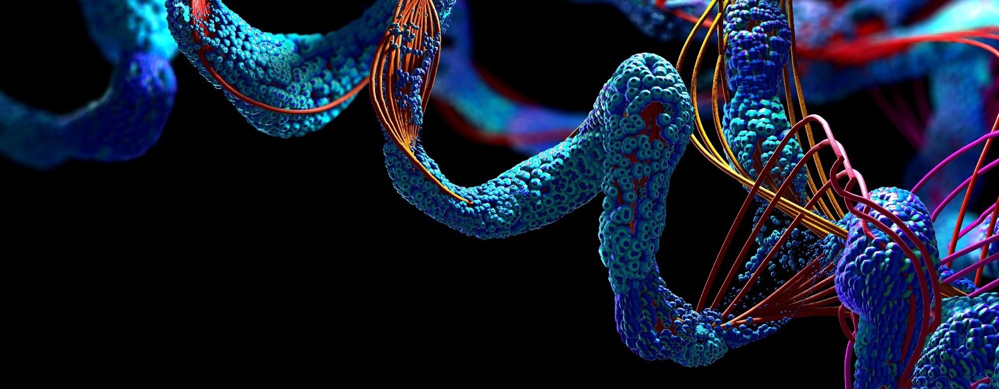 Restricting select amino acids may mimic protein restriction’s healthy aging benefits