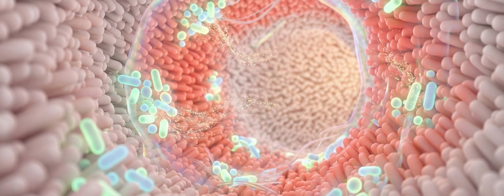 Menopause may start changing the gut years before periods stop