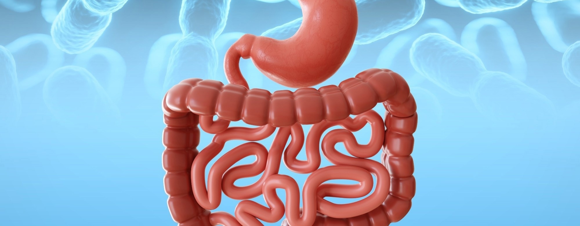 Gut microbiome may reveal inflammation and future disease risk better than age