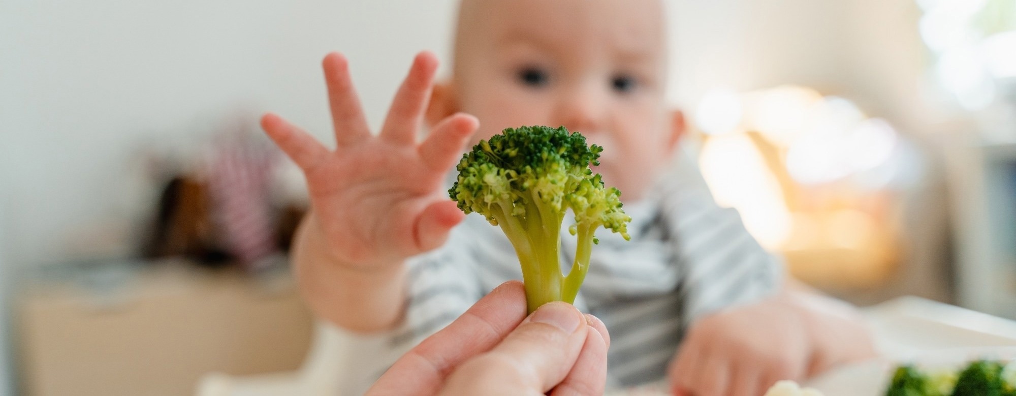 First foods bring an early functional shift in the infant gut microbiome