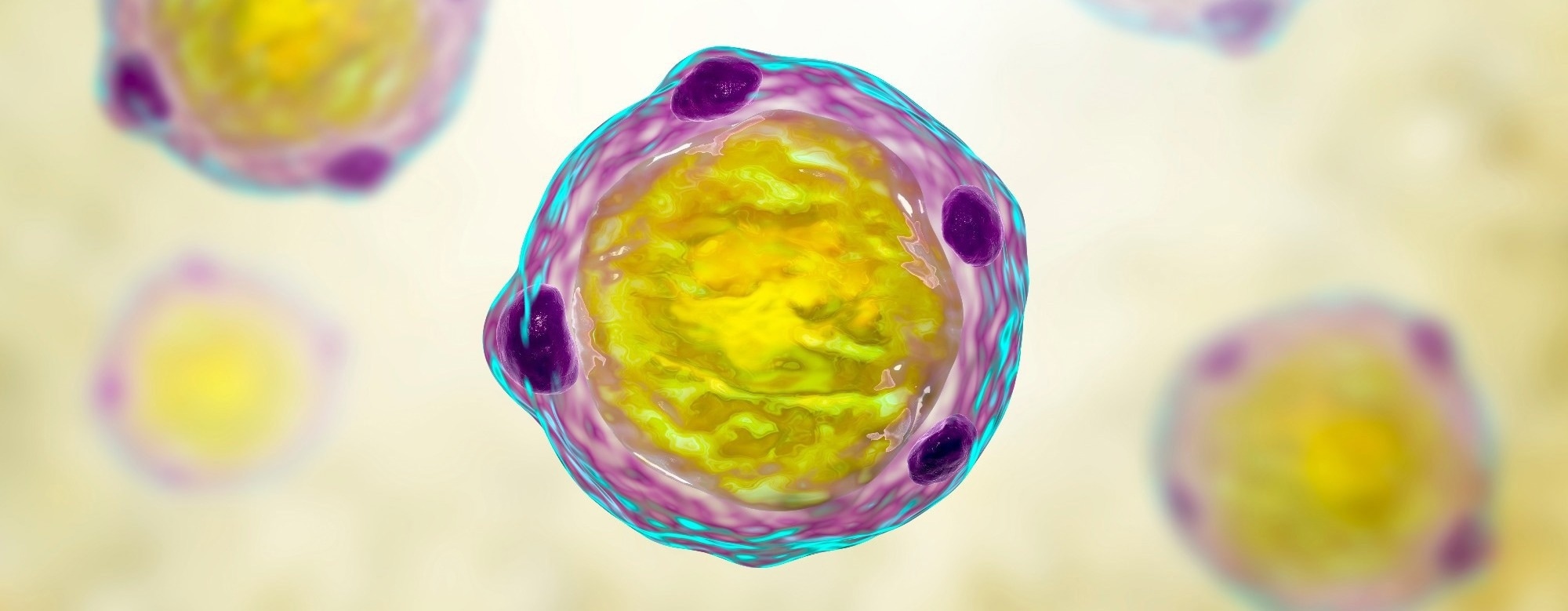 Blastocystis: friend or foe?