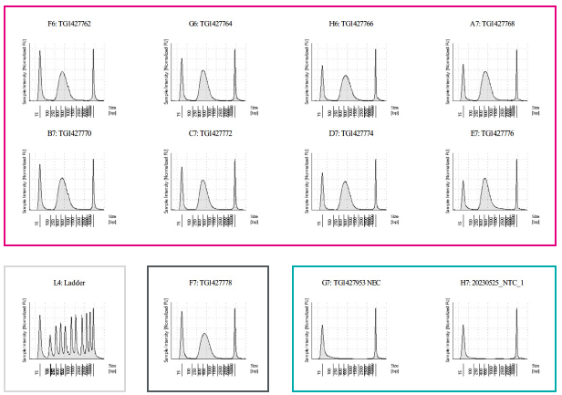 D5000 TS assay for Watchmaker DNA Library Kit with Fragmentation