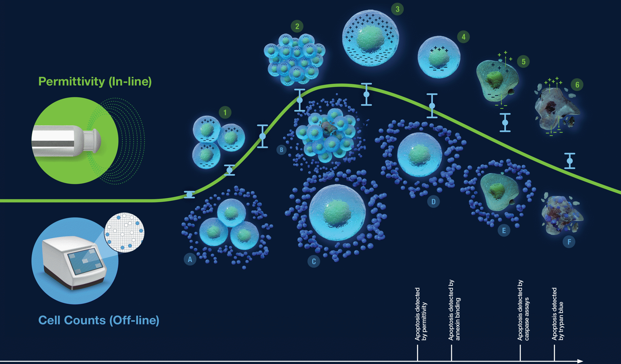 Cell culture monitoring: exploring permittivity measurements versus viable cell counts