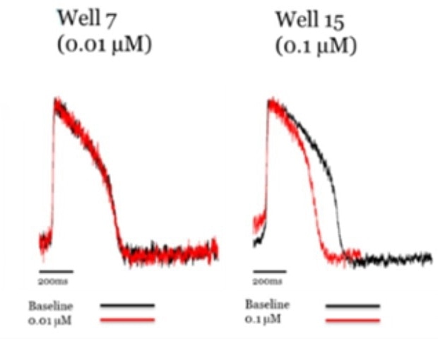 Advanced Cardiotoxicity Testing Using Multi-Channel iPSC Cardiomyocytes