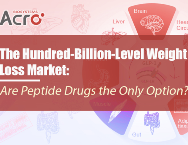 Are peptide drugs the only answer to the hundred-billion-level weight loss market?