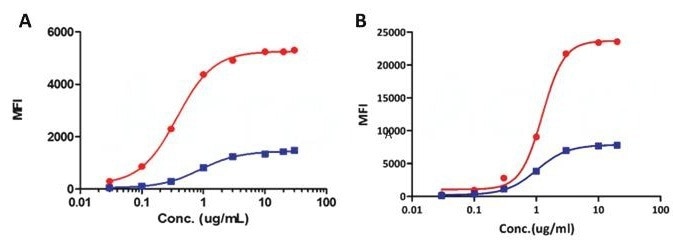 FACS analysis of (A) FITC-labeled BCMA and (B) Alexa Fluor-647 Mesothelin protein. Fluorescent activity resulting from binding of different proteins are shown to compare (Red) Site-specific and (Blue) traditional fluorescent chemical labelling methods