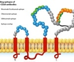 Multi-pass transmembrane proteins as key targets for cutting-edge R&D