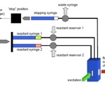 Exploring serum albumin binding kinetics with curcuminoids using stopped-flow fluorescence