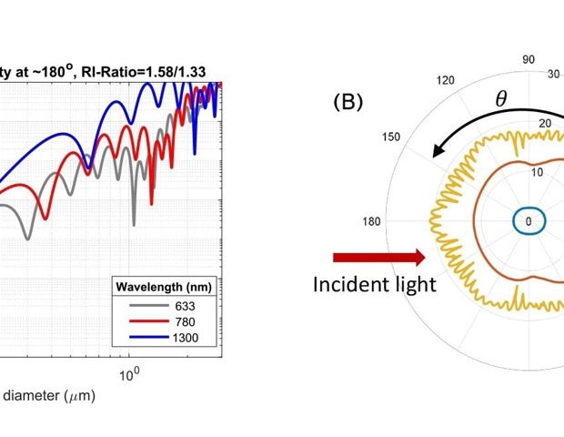 Different DLS-based systems can give us different size results, and all of them can be correct!