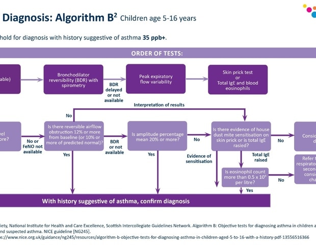 The growing importance of FeNO testing in asthma care