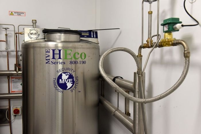 Should you relocate your cryo-room?