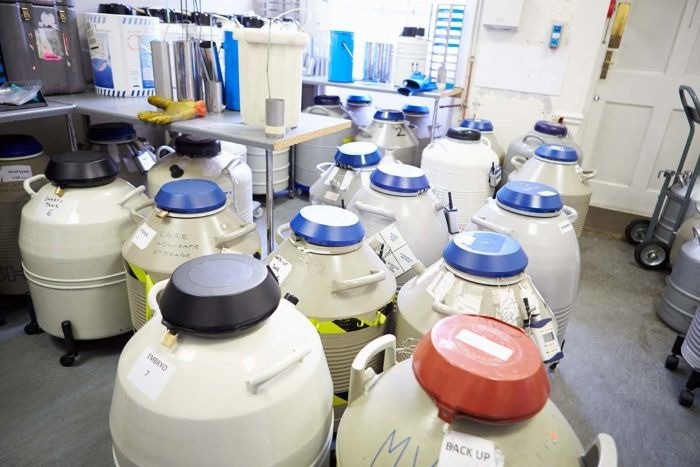 Optimizing your IVF clinic