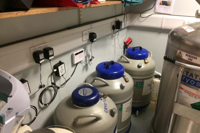 Optimizing your IVF clinic