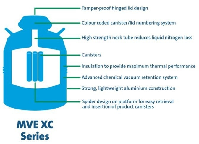 Optimizing your IVF clinic