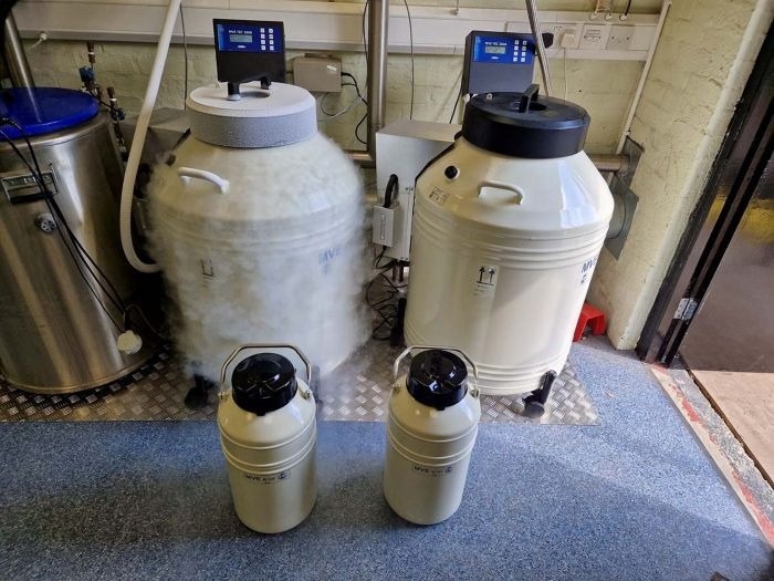 Optimizing your IVF clinic