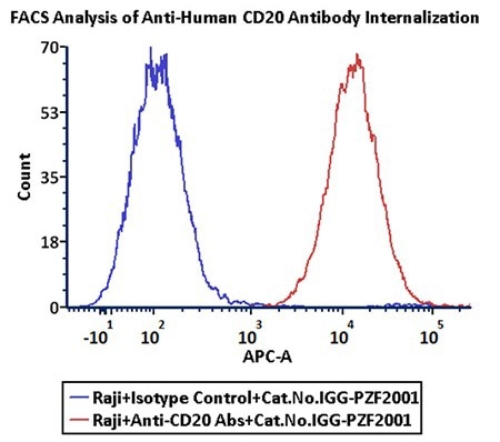 Anti-CD20 Abs and Human IgG1 isotype control were labeled with Antibody Internalization Detection Reagent (Cat.No. IGG-PZF2001). Raji cells were treated with Anti-CD20 Abs-Internalization Detection Reagent conjugate and Isotype control-Internalization Detection Reagent conjugate separately for 2 hours, then analysis by Flow cytometric. APC signal was used to evaluate the activity (Routine tested).
