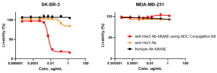 In vitro cytotoxicity assays: The ADC can bind and internalize in target cells (SK-BR-3) with high expression of Her2 and release MMAE inside the cells to induce a cytotoxic effect (IC50=0.0058 µg/mL). Meanwhile, no cytotoxicity was observed in Her2 receptor-negative cell lines (MDA-MB-231)