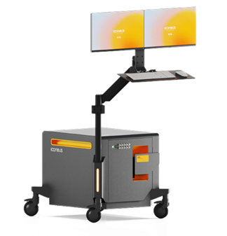 Whole brain network imaging using functional ultrasound (fUS)