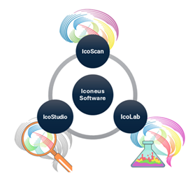 Whole brain network imaging using functional ultrasound (fUS)