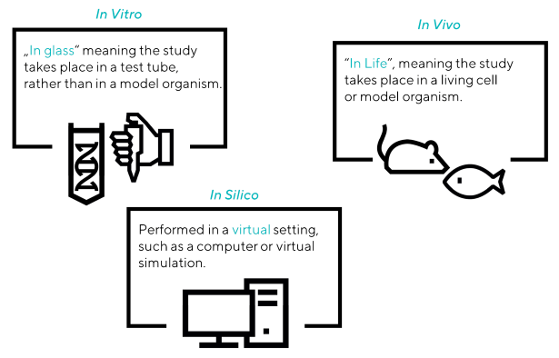 A schematic demonstrating the different research methods (in vivo, ex vivo, in silico)