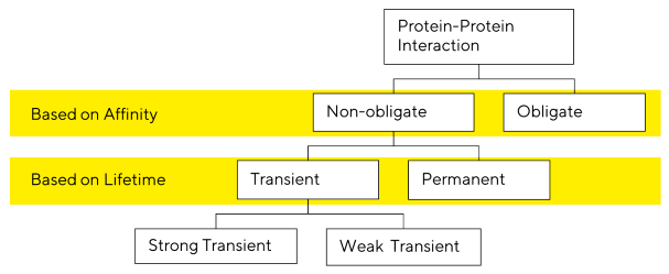 Schematic guiding the varying types of PPI interaction