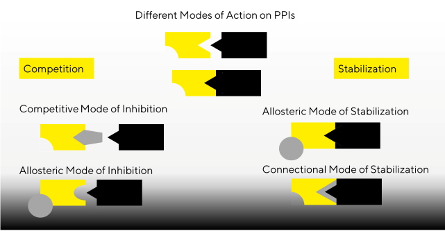 Schematic describing the different types of stabilization of PPIs