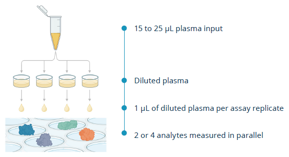 A schematic illustration of the SPEAR UltraDetect™ Parallel Plex workflow solution.