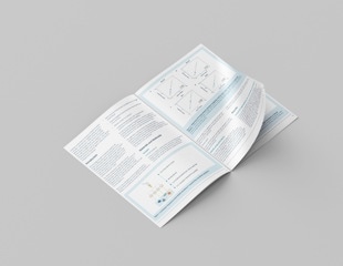 Multi biomarker analysis using parallel plex workflows