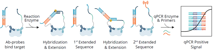A novel technology to overcome the limitations of heterogeneous immunoassays