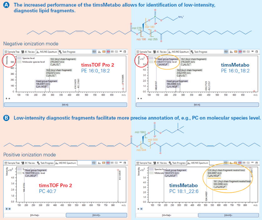 Comparison of MS/MS spectra on timsTOF Pro2 and timsMetabo based on A PE 16:0_18:2 in negative ion mode and B PC 40:7 (PC 18:1_22:6) in positive ion mode, respectively. Molecular structures are shown highlighting the fragments observed in the PASEF MS/MS spectra