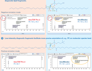How to detect low-abundance lipids with higher sensitivity and accuracy