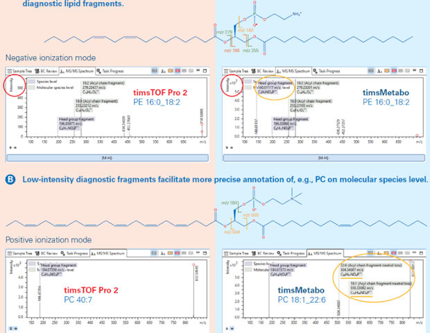 How to detect low-abundance lipids with higher sensitivity and accuracy